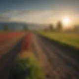 A tranquil agricultural landscape in Monroe, WA showcasing vibrant fields.