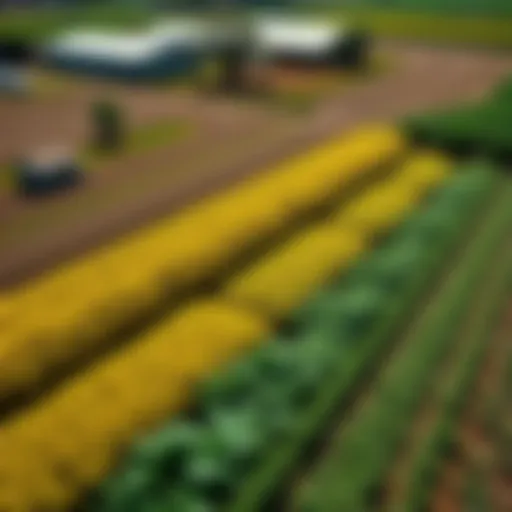Aerial view of a small farm with diverse crops