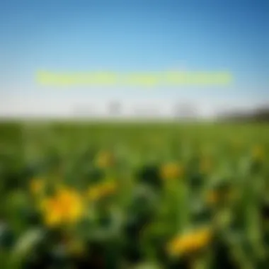 Chart showing responsible usage standards for halt weed killers