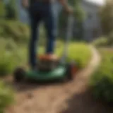 Overview of the Home Pro weed eater showcasing its sleek design