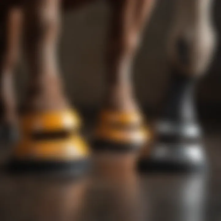 Different types of hoof protectors displayed side by side