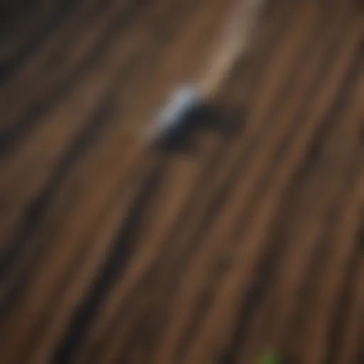 Aerial view of a cleared land ready for planting