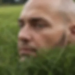 Healthy grass contrasting with bald spots