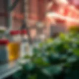 Nutrient Solutions for Hydroponic Systems Hydroponic nutrient solution in a lab setting