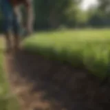 Lush green grass being tilled into fertile garden soil