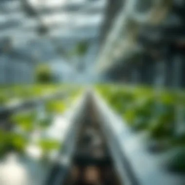 Sustainable practices in large scale aquaponics