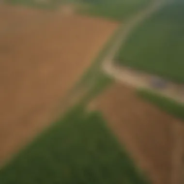 Aerial view of a vast agricultural landscape showcasing GMO crops