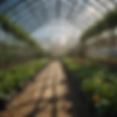 An advanced greenhouse utilizing modern technology