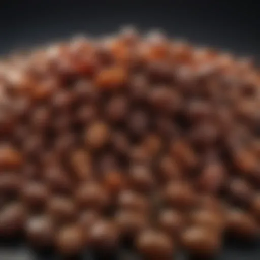 Close-up view of premium date seeds showcasing their texture and quality