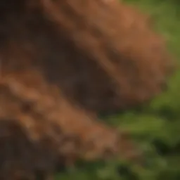 Nutrient-rich fertilizer granules