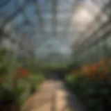 A greenhouse constructed with glass showcasing natural light