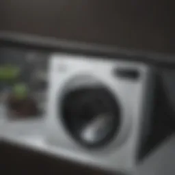 Detailed view of panda washer components