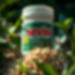 Sevin Insecticide Granules: A Comprehensive Guide Introduction