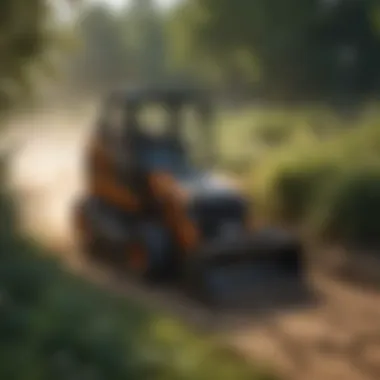 Skid steer maneuvering through dense vegetation with brush mower