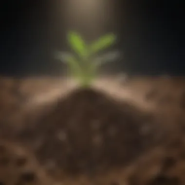 Impact of non-greenhouse gases on soil health