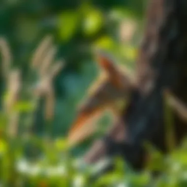 Strategies for Protecting Wildlife Habitat Summary Strategies for Protecting Wildlife Habitat Summary