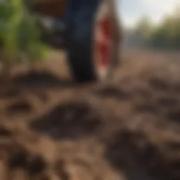 Sustainable farming practices enhancing soil health