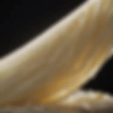 Micronutrient Content in String Cheese Micronutrient content in string cheese