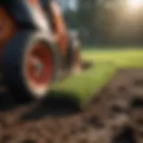 A close-up of turf being removed from soil