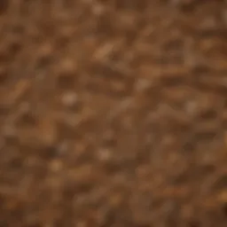 Close-up of terramite granules showing texture and composition