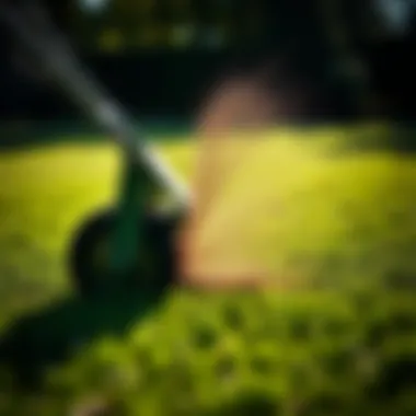 Healthy lawn after using thatcher attachment