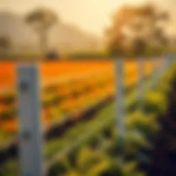Modern poly fencing in a vibrant agricultural landscape