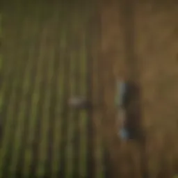 Aerial view of diverse crops showcasing sustainable farming techniques.