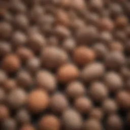 Close-up view of clay pebbles showcasing their texture