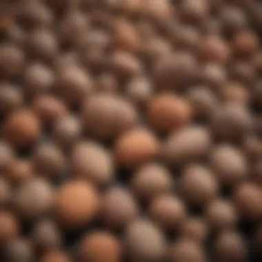 Textural Diversity of Clay Pebbles Close-up view of clay pebbles showcasing their texture