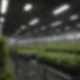 Advanced technology in grow room light controllers