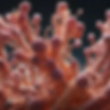 Antibiotic-Resistant Bacteria A visual representation of antibiotic-resistant bacteria under a microscope