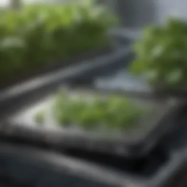 Durable Materials for Hydroponic Drain Trays Durable materials used in hydroponic drain trays to enhance longevity