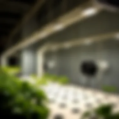 Diagram depicting environmental control systems in hydroponic setups, including lights and ventilation.