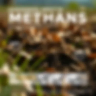 Environmental Impact of Methane Infographic showing the environmental impact of methane emissions