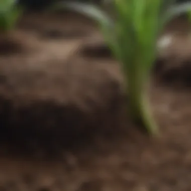 Impact of Soil pH on Plant Health Comparison of healthy vs unhealthy plants based on soil pH