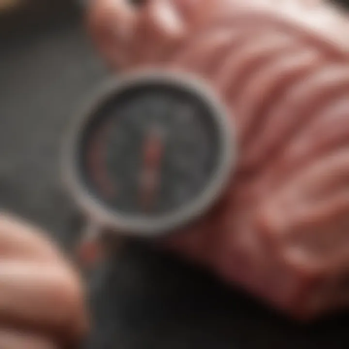 Digital meat thermometer reading