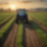Illustration of pre-emergent herbicide application in a field