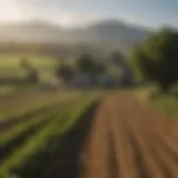 A diverse agricultural landscape showcasing thriving farms