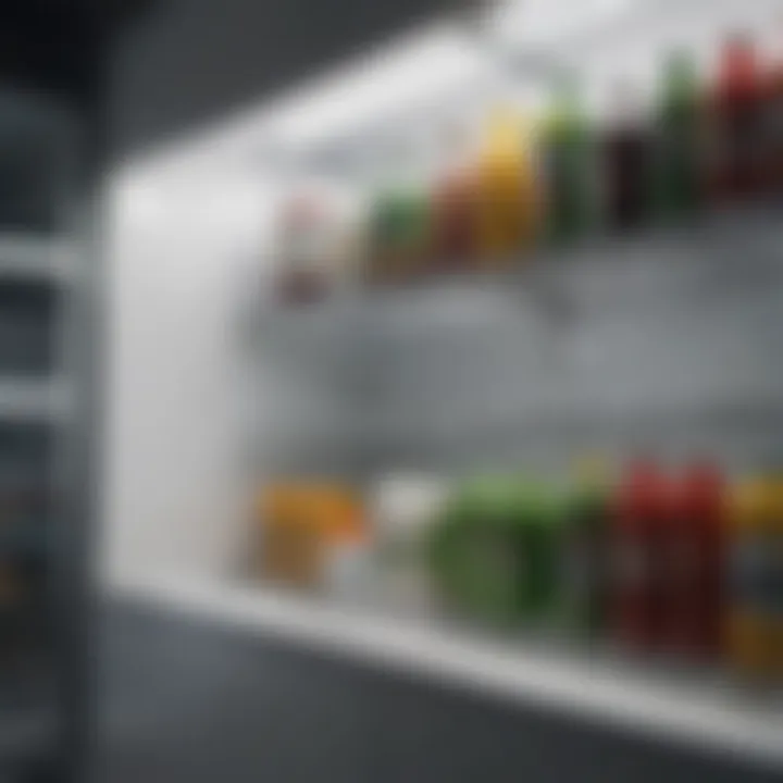 Close-up view of sanitized refrigerator shelves