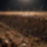 Silica particles enhancing soil structure