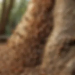 Close-up view of a termite colony in their natural habitat