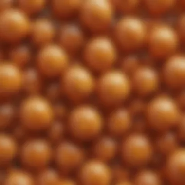 Caloric Composition of Fat Molecules Detailed diagram illustrating the caloric composition of fat molecules