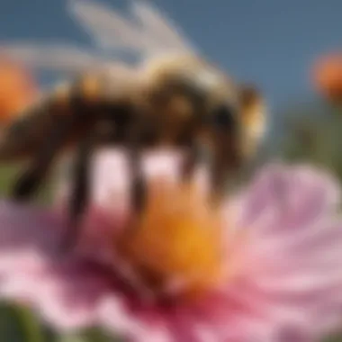 Essential Pollination in Action Close-up of a bee on a flower