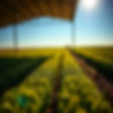 Understanding the U.S. Commodity Price Index: Implications for Agriculture Summary Understanding the U.S. Commodity Price Index: Implications for Agriculture Summary