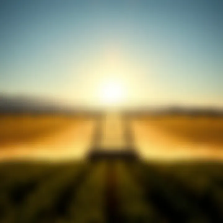 Understanding Valley Irrigation Pivot Costs Introduction