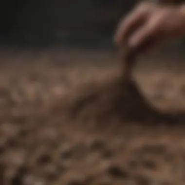 Close-up of soil preparation for planting grass seeds