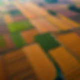 Aerial view of diverse agricultural fields