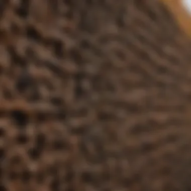 Close-up of vinyl fence material showcasing its texture