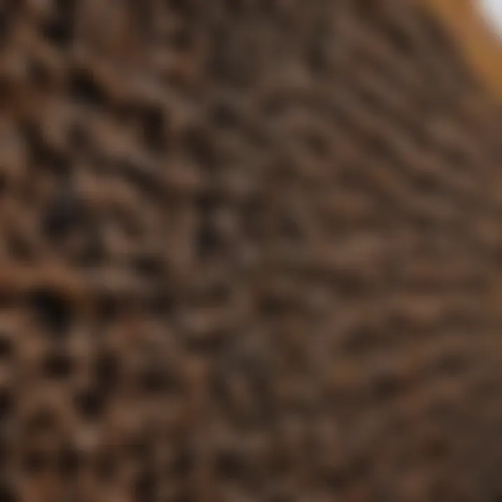 Close-up of vinyl fence material showcasing its texture
