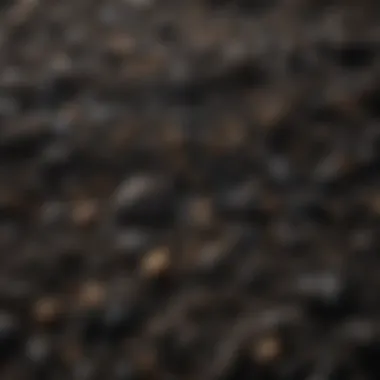 The Unique Texture of Wakefield Biochar Close-up of Wakefield biochar granules highlighting its texture and structure